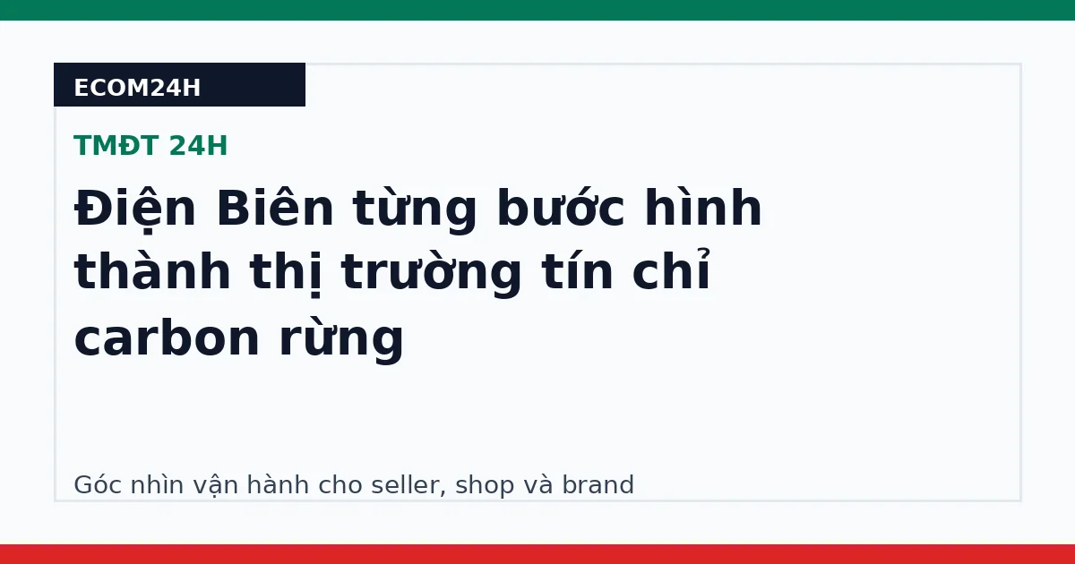 Điện Biên từng bước hình thành thị trường tín chỉ carbon rừng