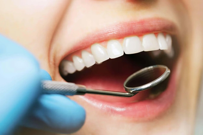 Nuôi cấy thành công răng trong phòng thí nghiệm