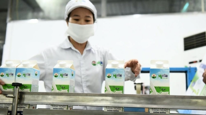"Giải mã" bí mật đằng sau ly sữa tươi Mộc Châu: Hành trình kiến tạo dinh dưỡng đỉnh cao!
