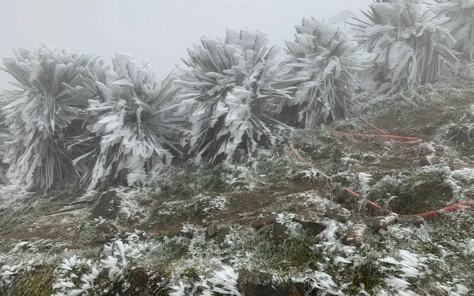 Băng giá, sương muối ở vùng núi cao Bắc Bộ, có nơi xuống dưới 3 độ C